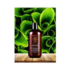 Amazon Series Jojoba Moisturizing Keratin Shampoo - 250ml | Sulphate Free | All Hair Types