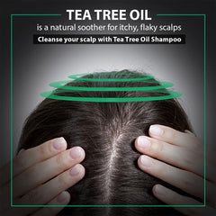 De Fabulous Tea Tree Oil Shampoo & Conditioner 250ml - Comb |All hair types | Scalp Health | Sulphate Free